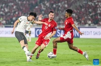 Đơn thư đòi công bằng “bay tới tấp” tới AFC và FIFA 