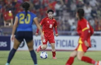 Asian Cup 2026: Tuyển Việt Nam cùng 11 đối thủ tranh vé World Cup