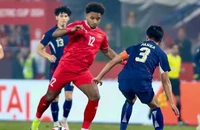 Giấc mơ World Cup của Đông Nam Á, trăm sự nhờ FIFA