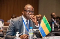 Gabon thua Bờ Biển Ngà như U-22 Thái Lan thua Việt Nam, Bộ trưởng ra án kỷ luật khủng