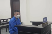 Lừa bán vé 'chuyến bay giải cứu': 14 năm tù