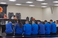 Băng nhóm nước ngoài vào Việt Nam trộm cắp của khách du lịch lĩnh án