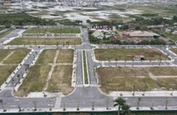 Cựu chủ tịch Vimedimex hầu tòa trong vụ sai phạm đấu giá đất ở Hà Nội