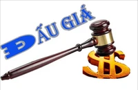 Nữ giám đốc 'vẽ' tài sản đấu giá chiếm đoạt gần 100 tỉ đồng kháng cáo