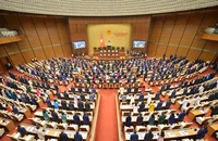 Chính phủ đề xuất quy định "dao có tính sát thương cao" là vũ khí thô sơ