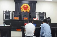 Cựu cán bộ địa chính 'biến' đất công thành đất nông nghiệp