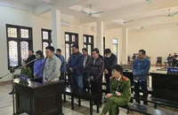 Hàng trăm giám đốc, kế toán trong đường dây mua bán hóa đơn hầu tòa