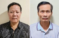 Ngụy trang đất hiếm thành "cơm dẻo mềm thơm", vì đâu nên nỗi?