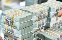 Nữ kế toán tham ô hơn 64 tỉ tiền bảo hiểm