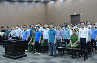 Luật sư nói về "sai sót đáng tiếc" của chủ tịch Tập đoàn Thuận An