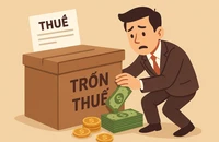 1 công ty vàng trốn thuế, có doanh thu 6 tháng hơn 5.700 tỉ đồng