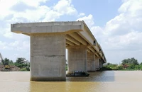 Người dân ngao ngán nhìn cầu Long Đại 'mọc cây'
