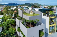 Ngôi nhà 80 m² ngập cây xanh ở vùng ngoại ô TP Nha Trang