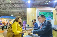 Việt Nam là điểm đến ưu tiên hàng đầu của khách quốc tế