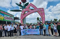 Nhiều tour trải nghiệm mới mẻ ở Đồng Tháp