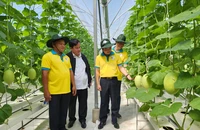 Đi du lịch Bình Chánh để nghe những điều chưa kể 