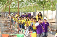 Người dân TP.HCM tấp nập đến khu vui chơi ngoài trời dịp tết Dương lịch 2024