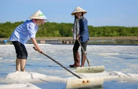 Phó Chủ tịch UBND TP.HCM: Làm du lịch phải giữ chân du khách ở lâu trong nước