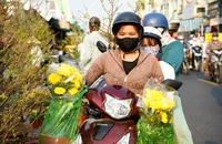 Chợ hoa 'Trên bến dưới thuyền' Tết 2025: Lễ hội sông nước độc đáo