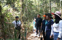 Du lịch nội địa gặp khó khi tăng giá trần giá vé máy bay