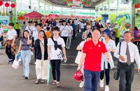 Hàng không và du lịch cần bắt tay dịp cao điểm hè