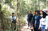 Ngành Du lịch Việt đón sóng bền vững