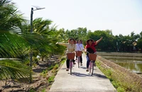 Ngành du lịch Việt cần bao lâu để đạt tiêu chí 'xanh'