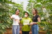 Du lịch nông nghiệp xanh mở ra nhiều cơ hội cho TP.HCM