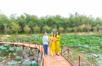 Phát triển du lịch xanh và trị liệu: Cần sự phối hợp đồng bộ