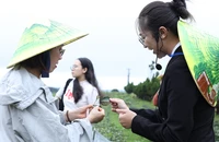 TP.HCM và Lâm Đồng kết nối phát triển sản phẩm du lịch thưởng trà