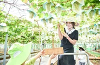 Vì sao du khách Việt ‘quay xe’ với du lịch ngoại, chọn ở lại trong nước dịp Tết?