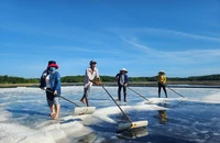 TP.HCM muốn đưa Thiềng Liềng trở thành làng du lịch tốt nhất thế giới