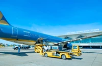 Sân bay Vinh sắp mở cửa trở lại, vé Tết tăng mạnh từng giờ