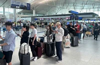 Tiết lộ bất ngờ về hành vi đặt vé máy bay của người trẻ