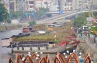Chợ hoa Xuân 'Trên bến dưới thuyền' dọc kênh Tàu Hủ – Bến Nghé có gì đặc sắc?