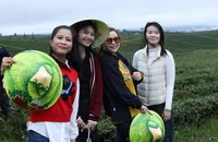 Địa phương đồng loạt kích cầu, làm mới sản phẩm du lịch hè 2026