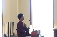 Đập phá tường rào, 4 mẹ con lãnh án