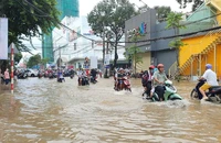 Cảnh báo đỉnh triều cường ở Cần Thơ vượt báo động III, đề phòng ngập úng