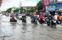 Cần Thơ: Đến hết năm 2022 còn 4 đợt triều cường 