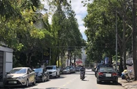 Cần Thơ xem xét thu phí đỗ xe, công viên... theo theo cơ chế đặc thù