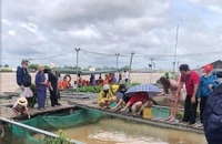 Cần Thơ đón hơn 5,9 triệu lượt khách du lịch, đạt doanh thu 5.420 tỉ 