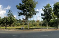 89 khu đất công ở Cần Thơ đã đấu giá bao nhiêu khu, mang về bao nhiêu tiền?