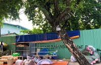 Tòa kiến nghị UBND TP Cần Thơ trả lại đất đã trưng dụng cho dân