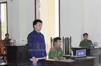 1 bị cáo phải chấp hành hai bản án với tổng hình phạt 28 năm tù cùng về tội lừa đảo 