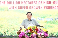 Thủ tướng Phạm Minh Chính yêu cầu tăng tốc, bứt phá để đạt 1 triệu ha lúa chất lượng cao 