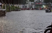 Lý do nhiều tuyến đường ở TP Cần Thơ mất 2 tiếng mới hết ngập