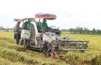 TP Cần Thơ công bố quy hoạch ngành nông nghiệp với 12 dự án ưu tiên đầu tư 
