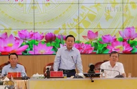 Phó Thủ tướng Trần Hồng Hà họp tháo gỡ về sản xuất và thị trường lúa gạo tại ĐBSCL