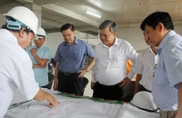 TP Cần Thơ còn dư 500 căn nhà ở xã hội, sẽ giải quyết cho cán bộ Hậu Giang, Sóc Trăng về công tác