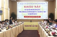  TP Cần Thơ: 100% các vụ bạo lực gia đình đều do nam giới gây ra